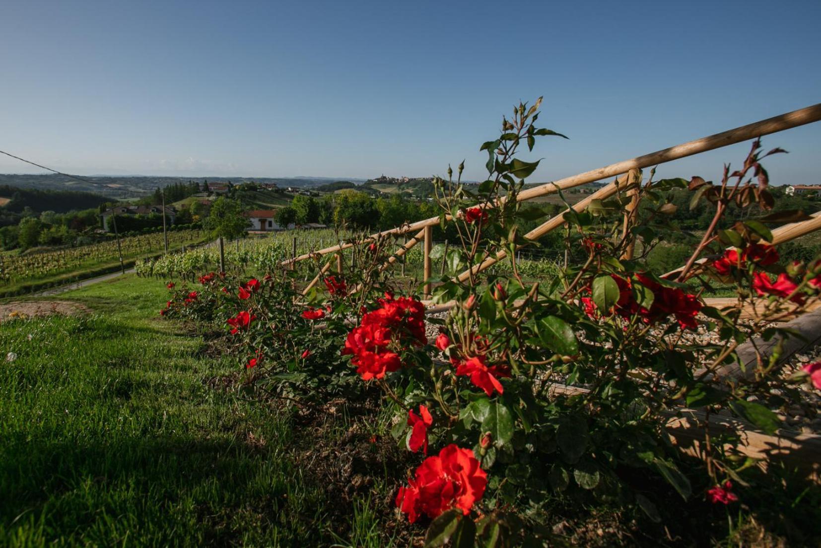 Agriturismo Bricco San Giovanni Asti Exterior photo